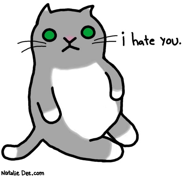 image: cats-hate-you-and-everyone-else