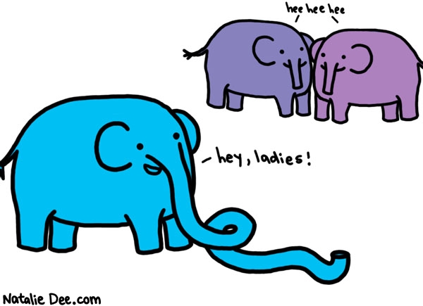 lady-elephants-appreciate-a-large-trunk.jpg
