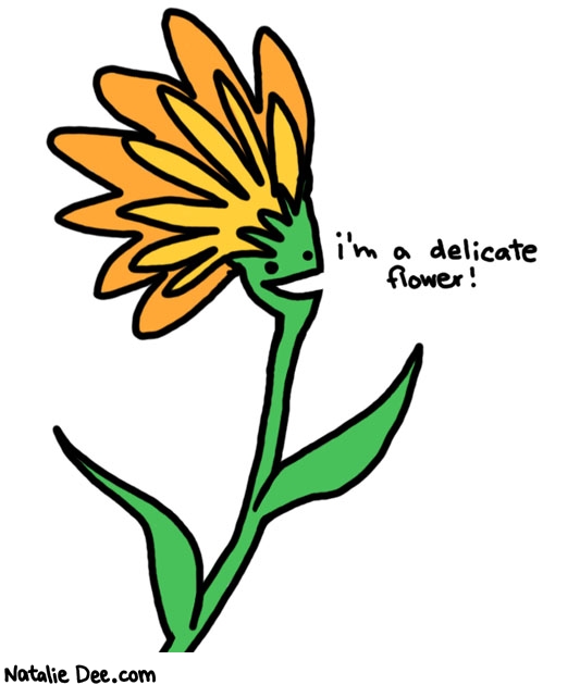delicate-flower.jpg