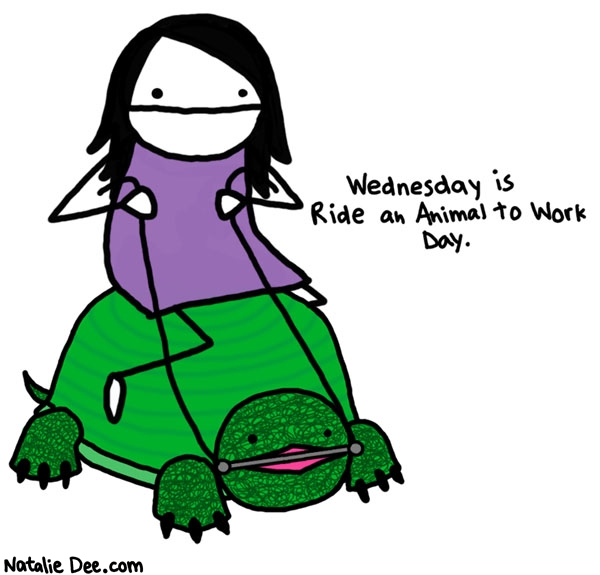 A Turtle Cartoon